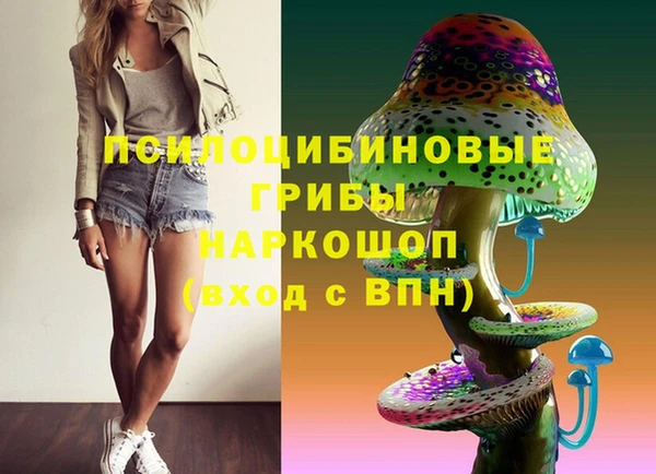 индика Майский