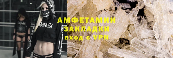 индика Майский
