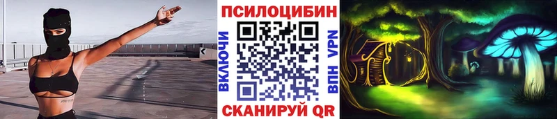 Псилоцибиновые грибы GOLDEN TEACHER  Купить где  Городище 